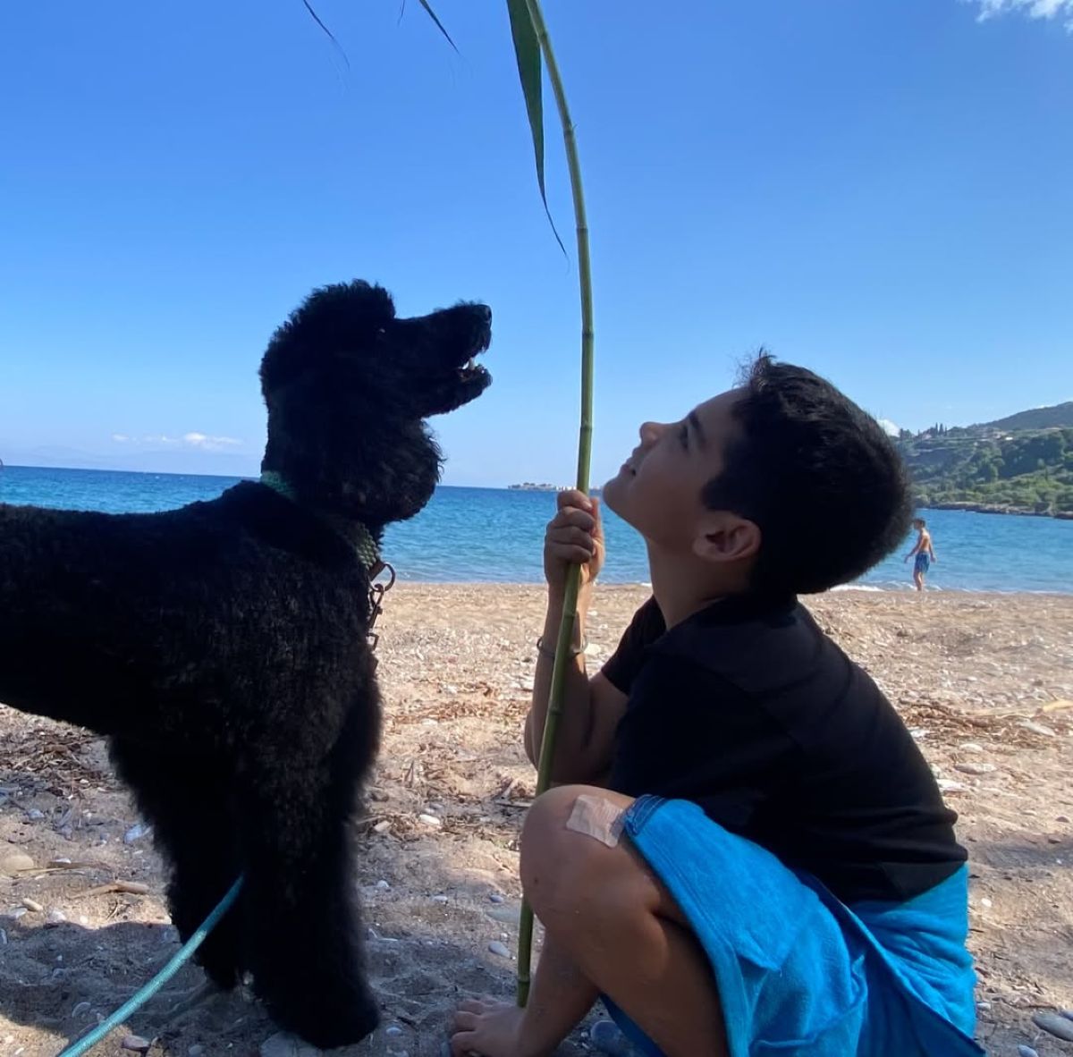 Ο γιος της Μαριάντας Πιερίδη