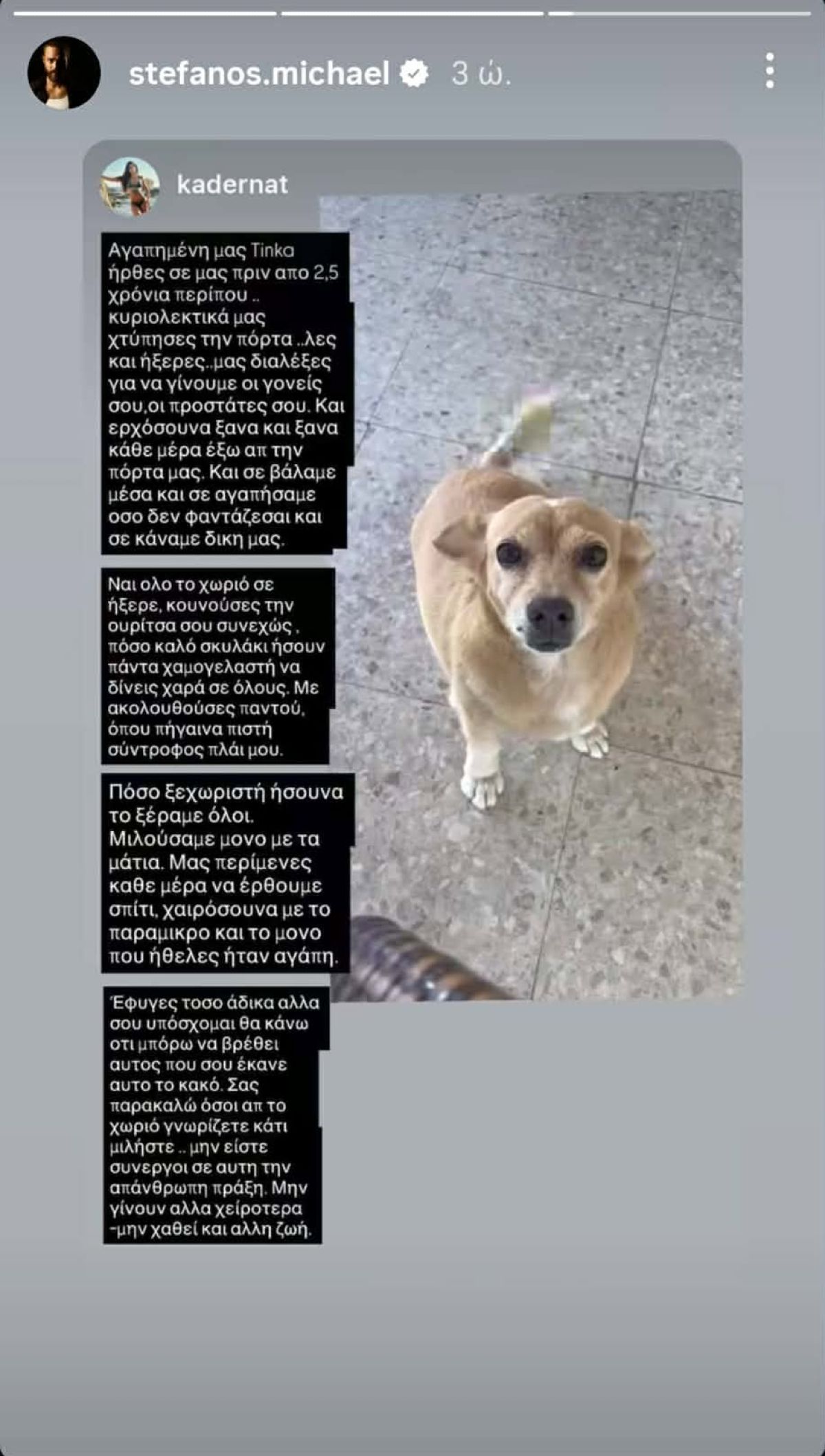 Το story που έκανε ο Στέφανος Μιχαήλ και η Νάταλι Κάτερ