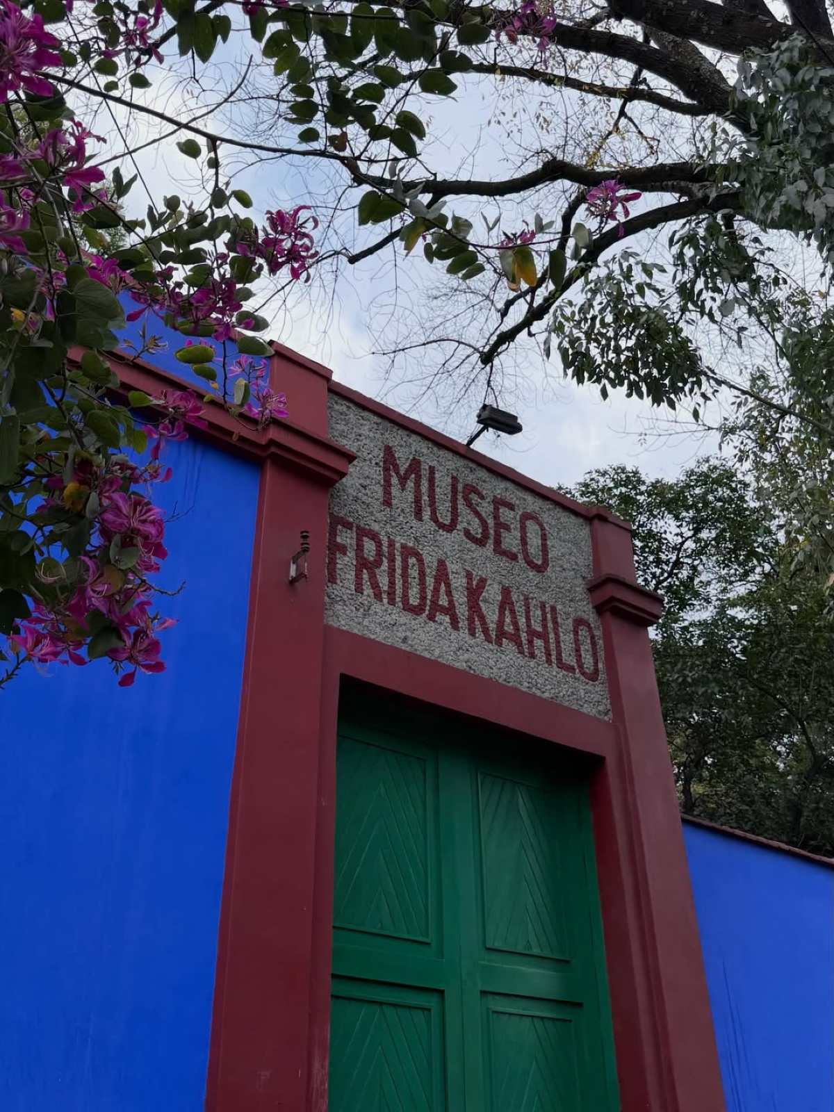 Η Ιωάννα Τούνη στο Μεξικό