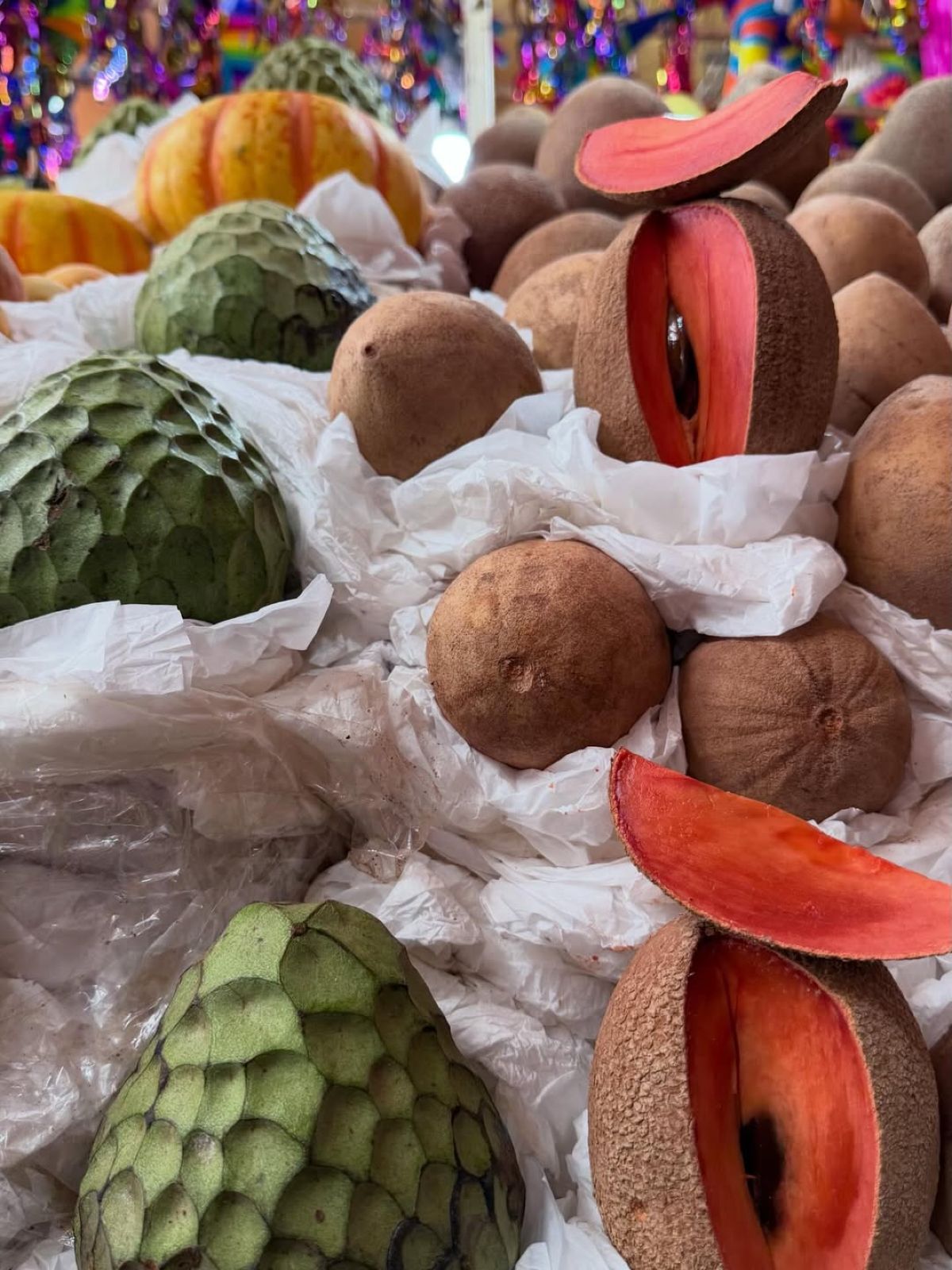 Η Ιωάννα Τούνη στο Μεξικό