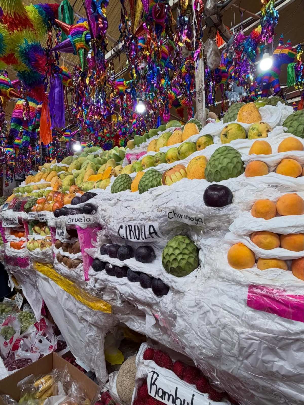 Η Ιωάννα Τούνη στο Μεξικό