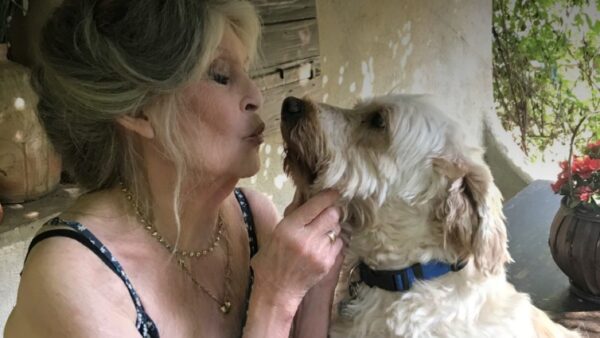 Μπριζίτ Μπαρντό