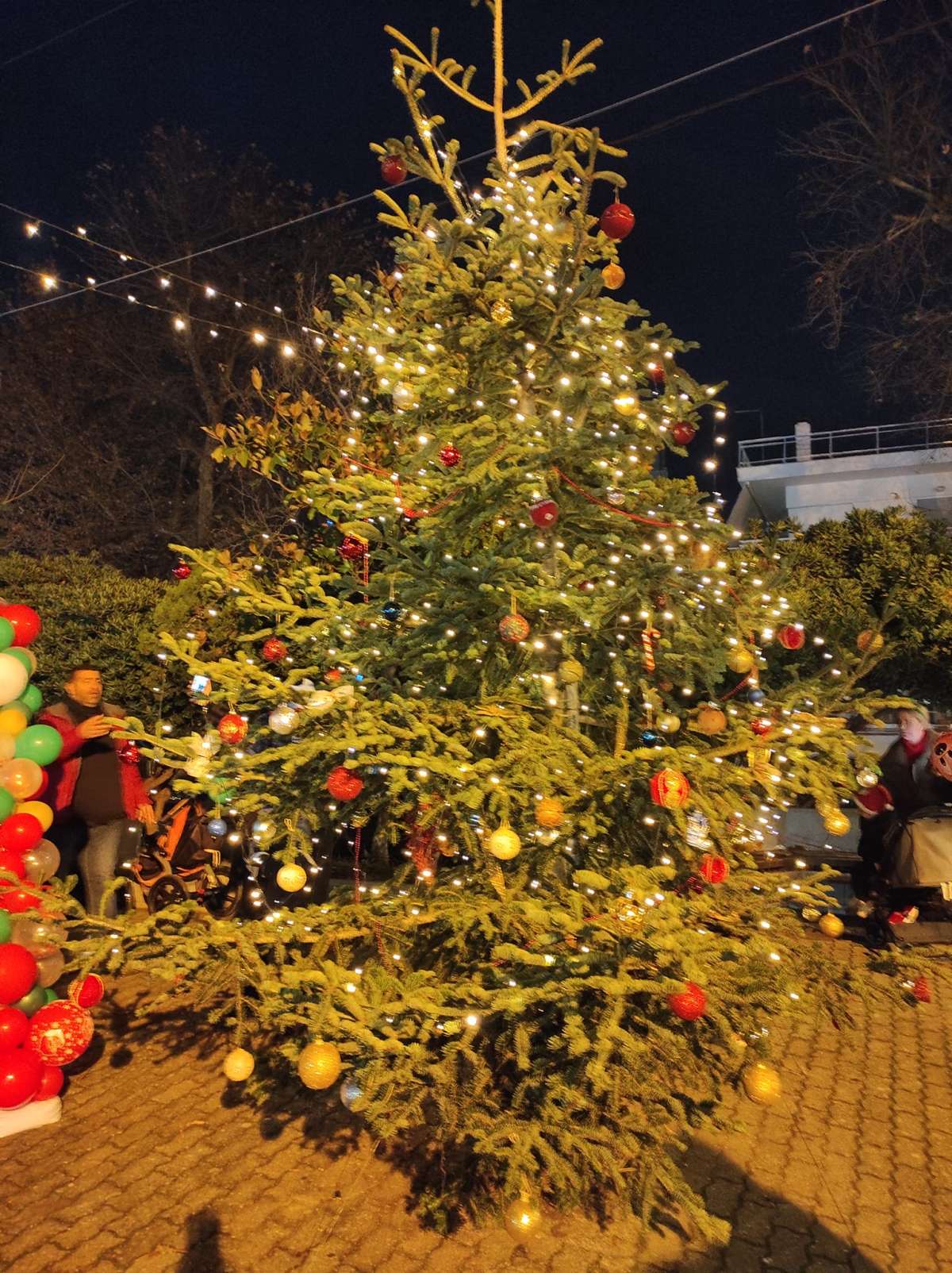 Δέντρο Πλαταμώνας