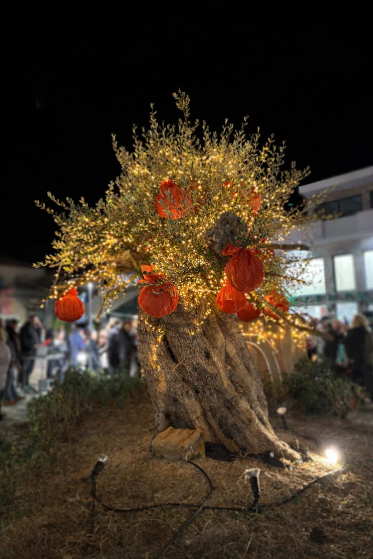 Κυπαρισσία