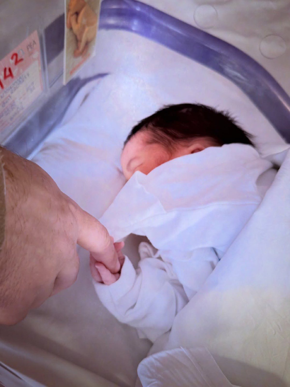 Η Μαρίνα Ντεμολάι από το MasterChef εγινε μητέρα για τρίτη φορά