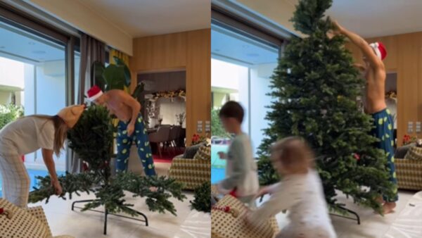 Οικονομάκου δέντρο