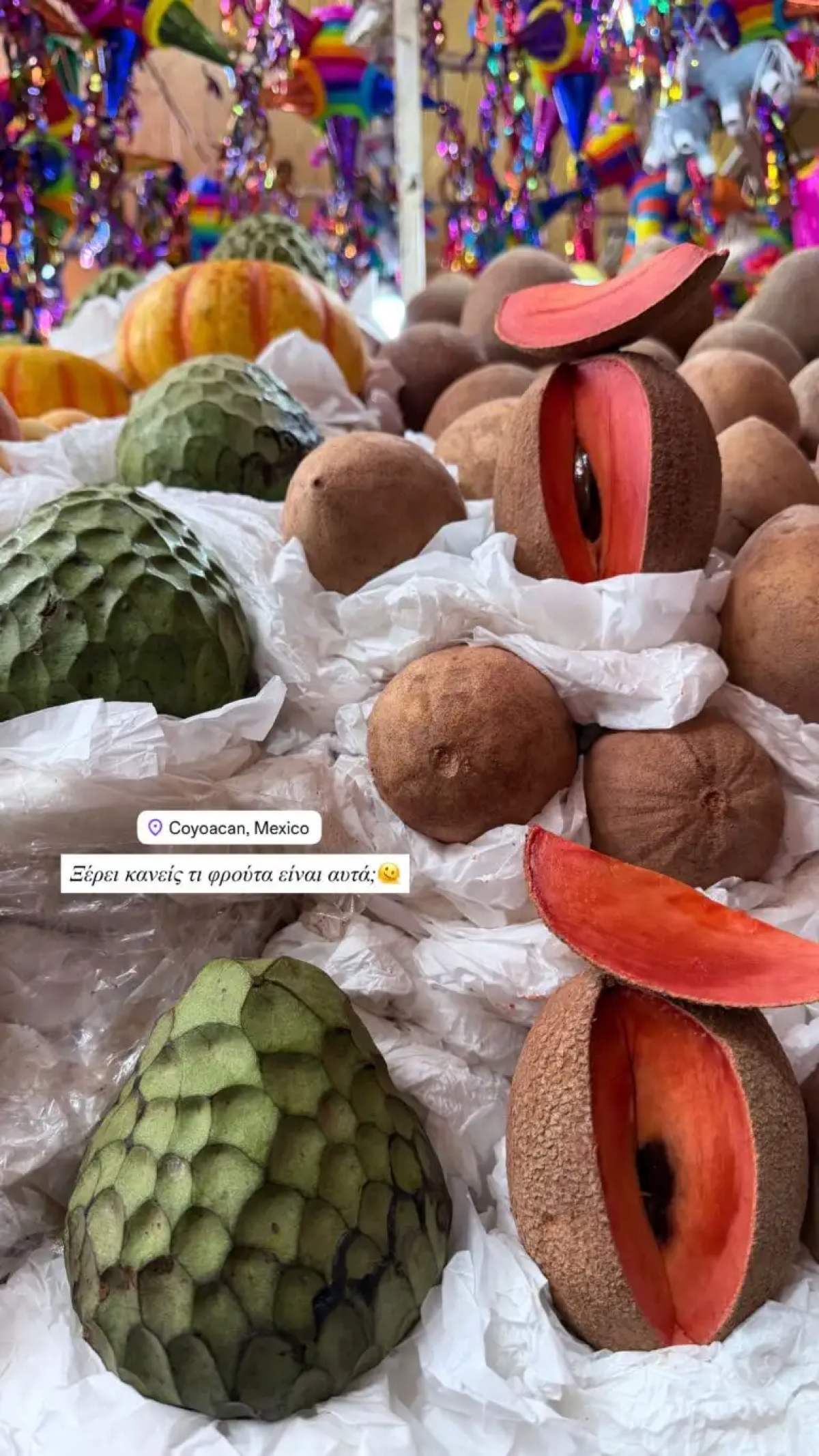 Ιωάννα Τούνη Μεξικό