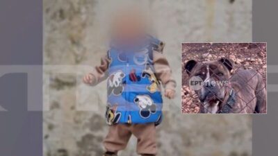 Ζάκυνθος παιδί πίτμπουλ