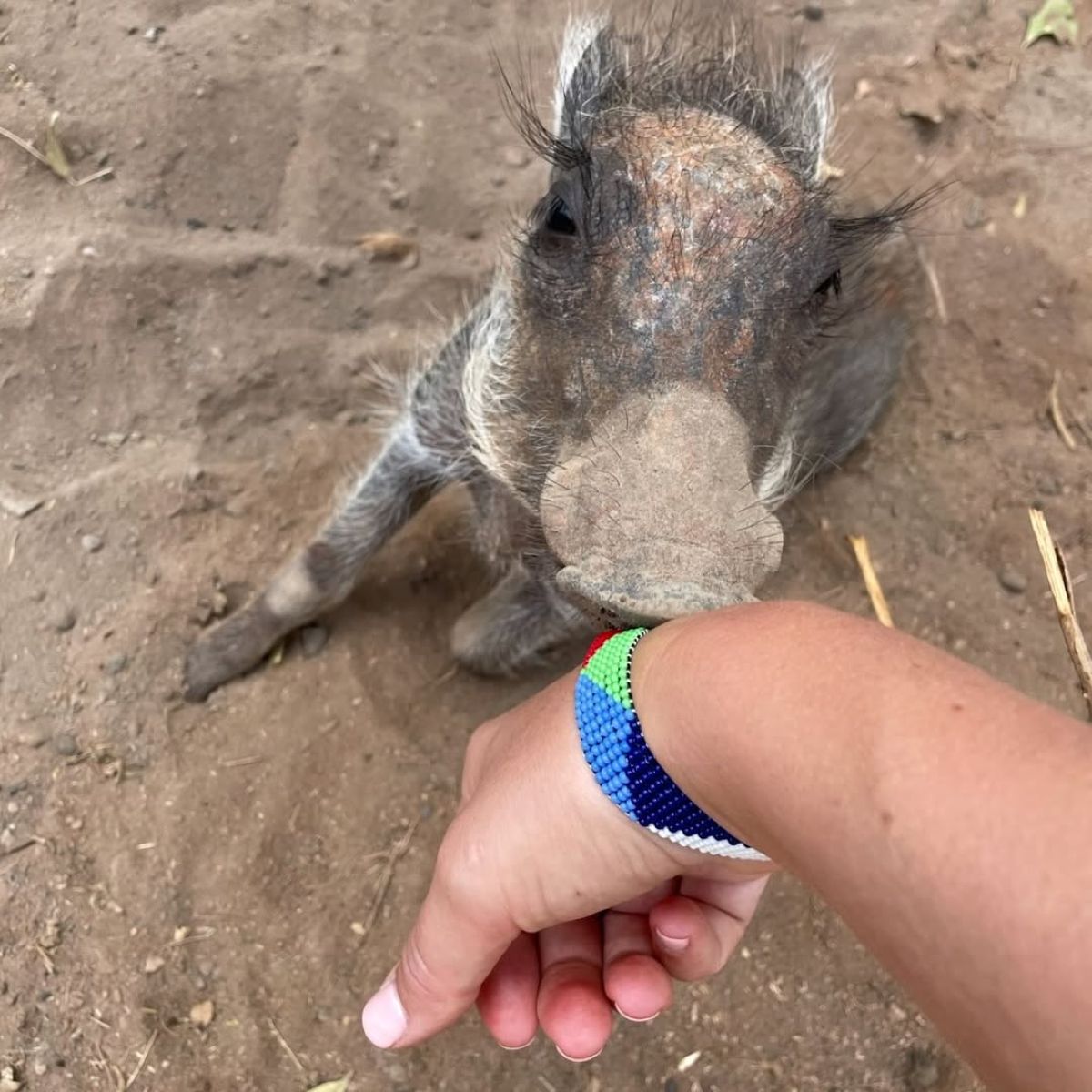 Ο Φίλιππος Ντε Γκρες και η Νίνα Φλορ στην Αφρική