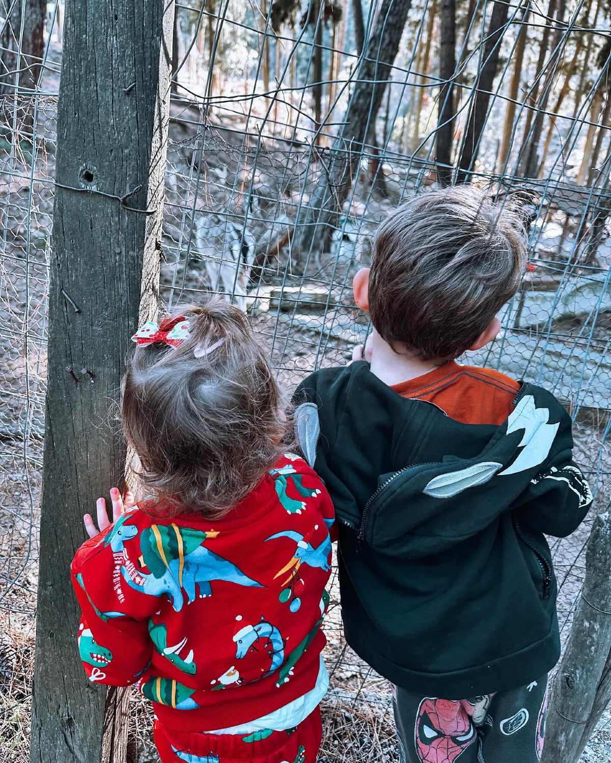 οικονομακου παιδια