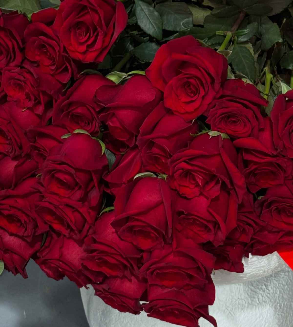 Καινούργιου – Κουτσουμπής: Ρομαντικό τριήμερο στο Μαίναλο Αρκαδίας (Φωτογραφίες)