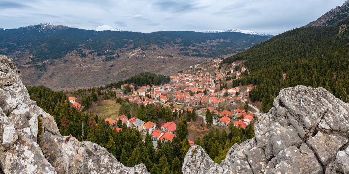 Ελάτη από τα Τρίκαλα