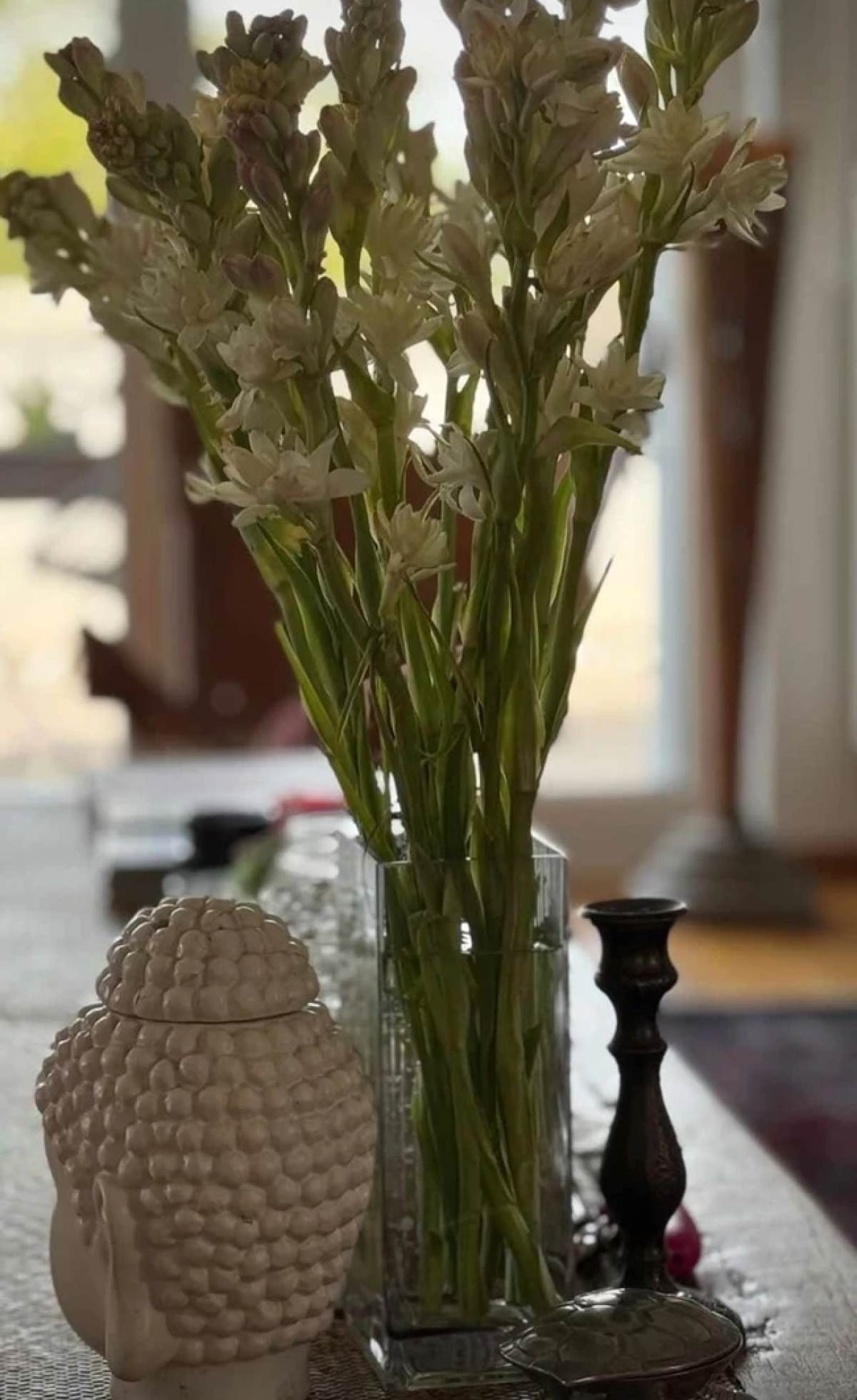 Μπέττυ Μαγγίρα σπίτι