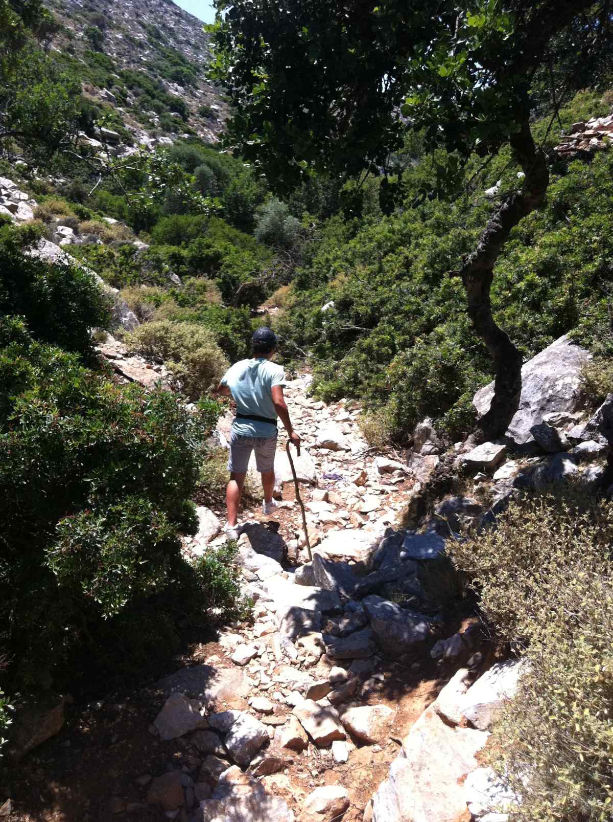 Mourtzanakis Residence