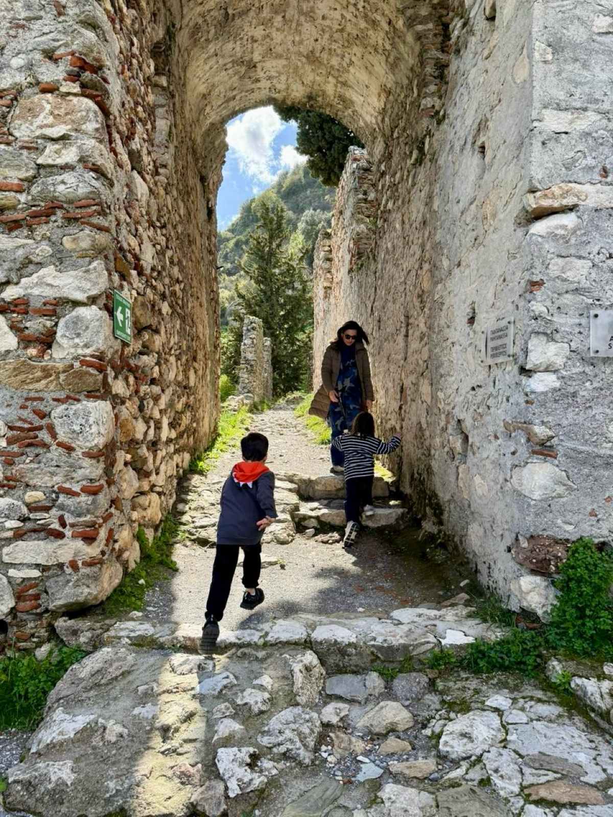 Όλγα Κεφαλογιάννη