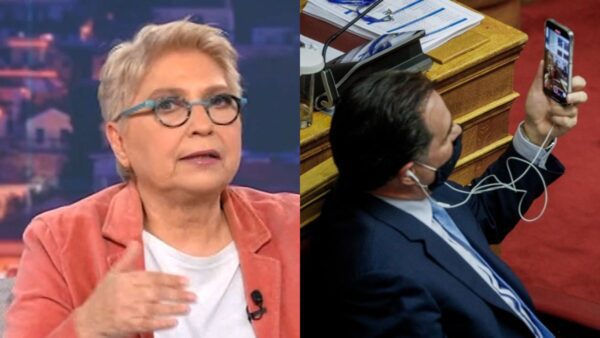 Ελένη Καλογεροπούλου, Άδωνις Γεωργιάδης