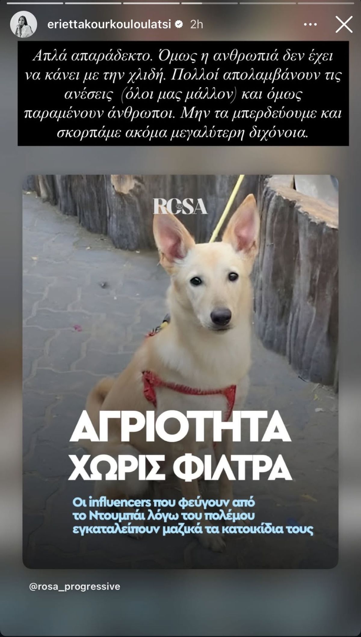 Η ανάρτηση της Εριέττας Κούρκουλου