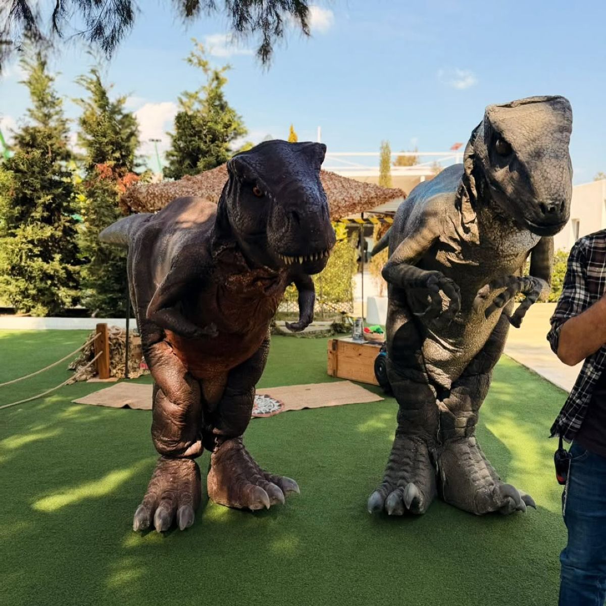 Αντιγόνη Κουλουκάκου, Νίκος Ράικος