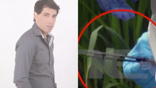 Γιώργος Τσιτόγλου, Καρδίτσα