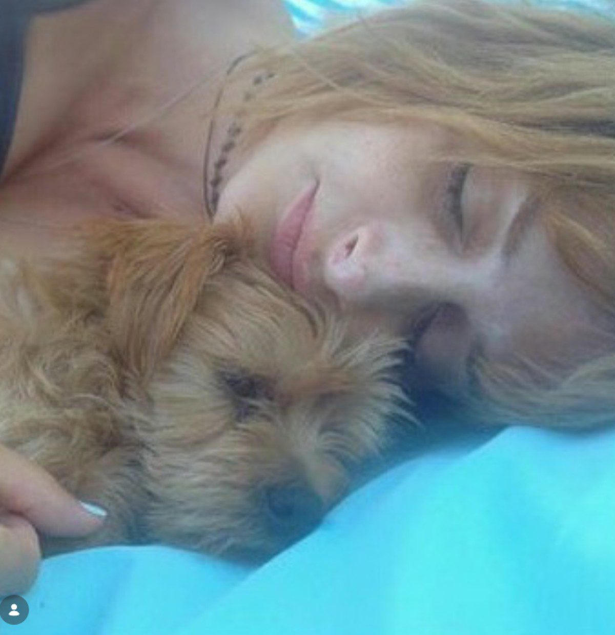 Κωνσταντάκη σκύλος