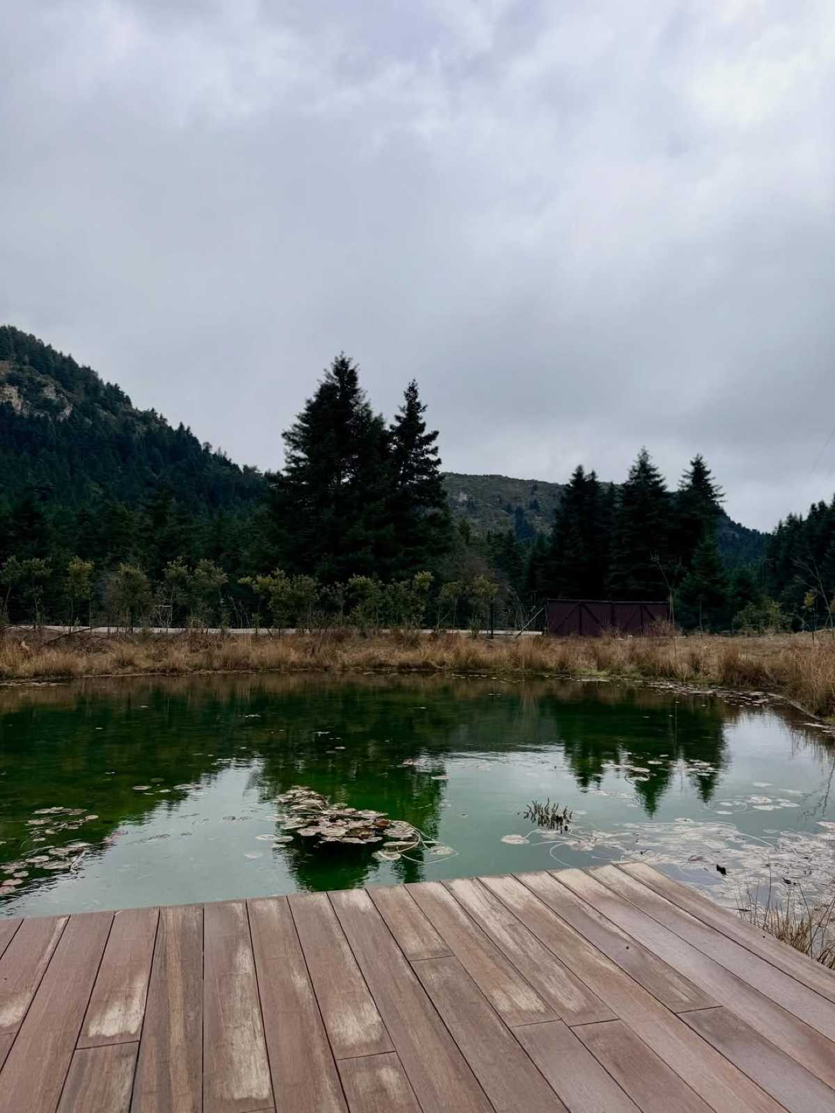 Μαρία Αντωνά, Γιώργος Λιάγκας