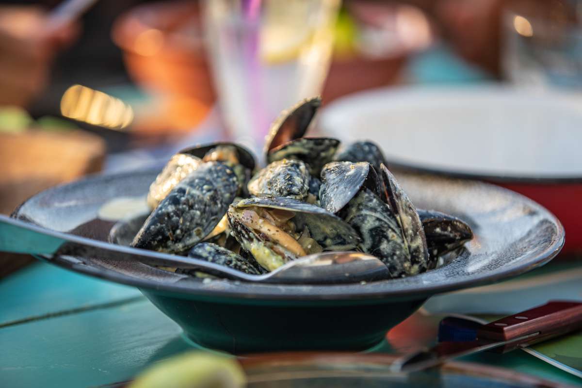 Χαλκιδική μύδια