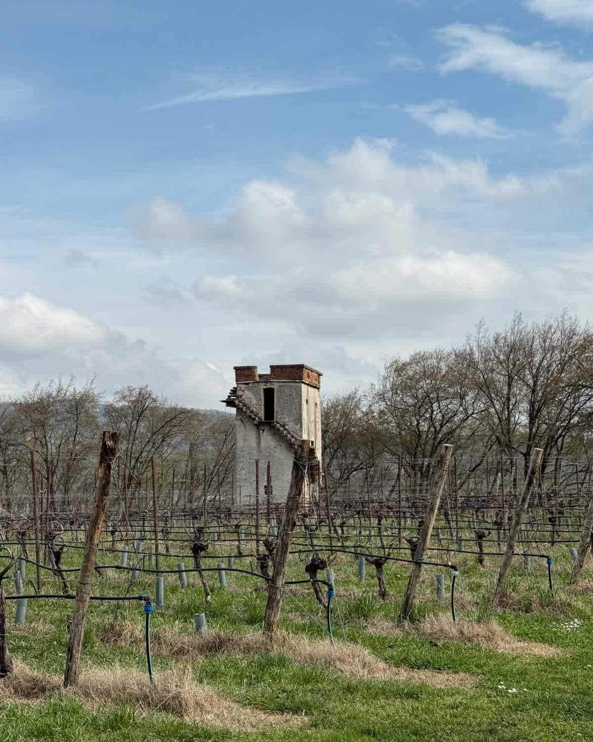 Η ανάρτηση της Νικολέττας Ράλλη από την Ιταλία