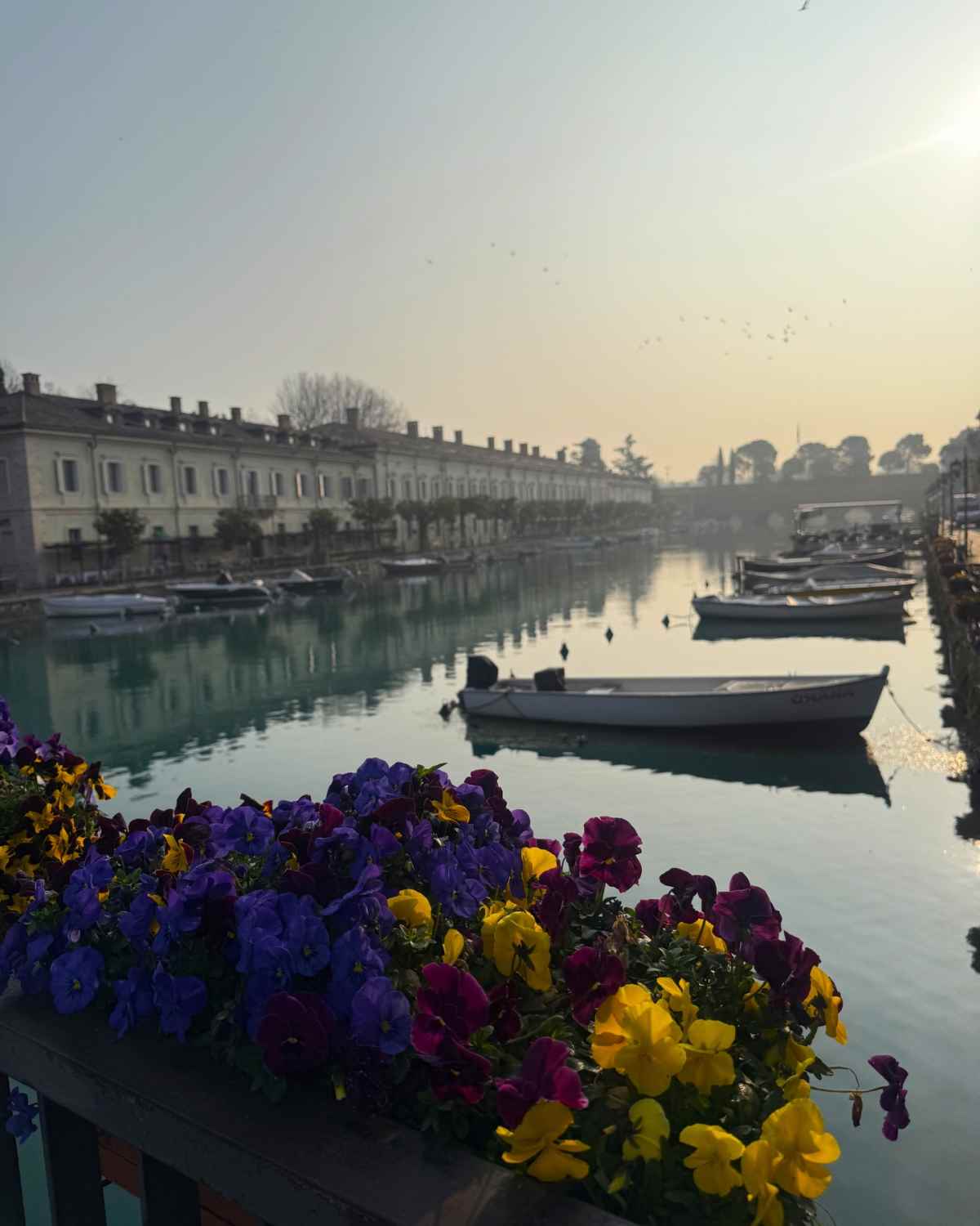 Η ανάρτηση της Νικολέττας Ράλλη από την Ιταλία