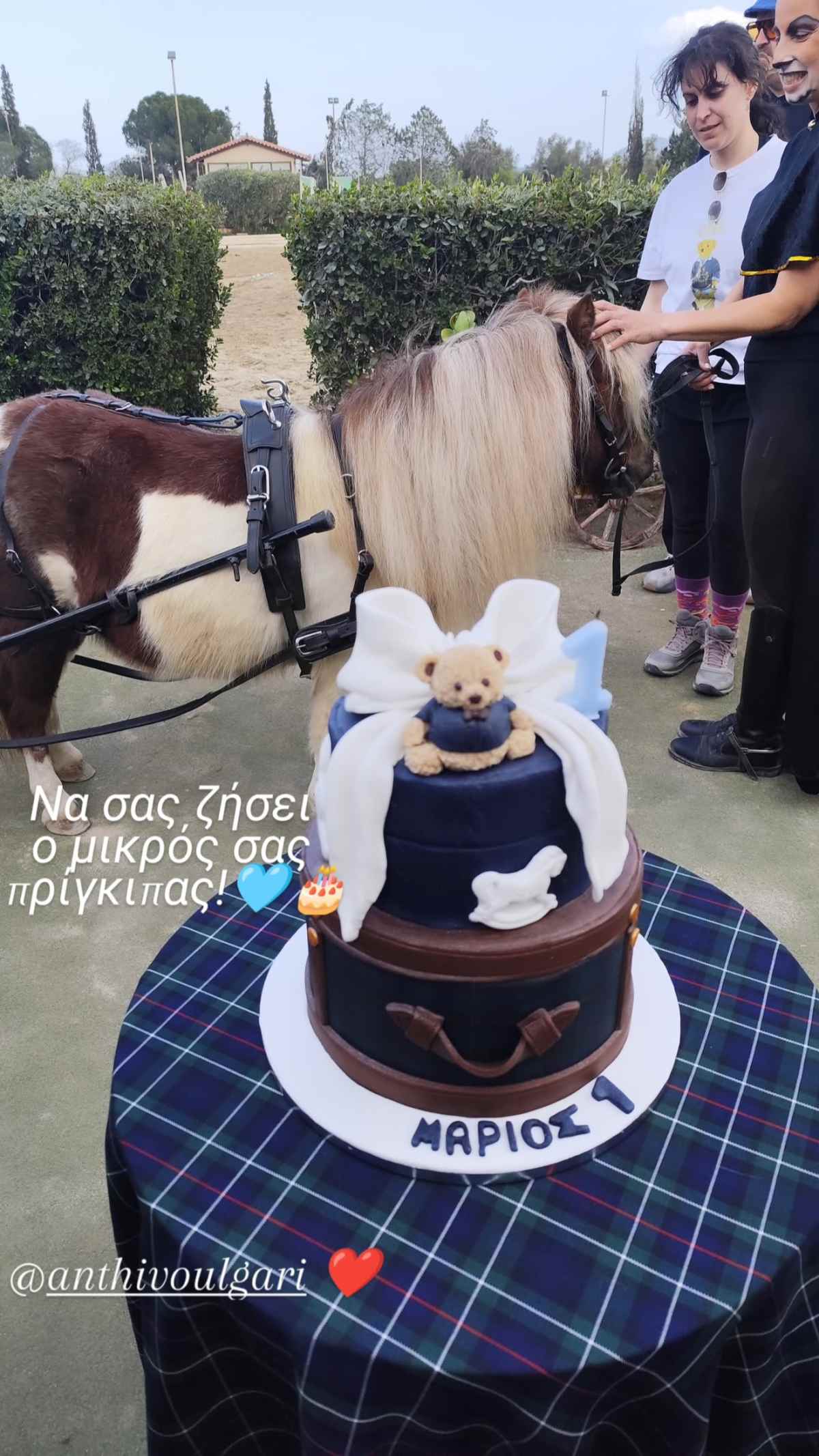 Στιγμιότυπο από το πάρτι γενεθλίων του γιου της Ανθής Βούλγαρη