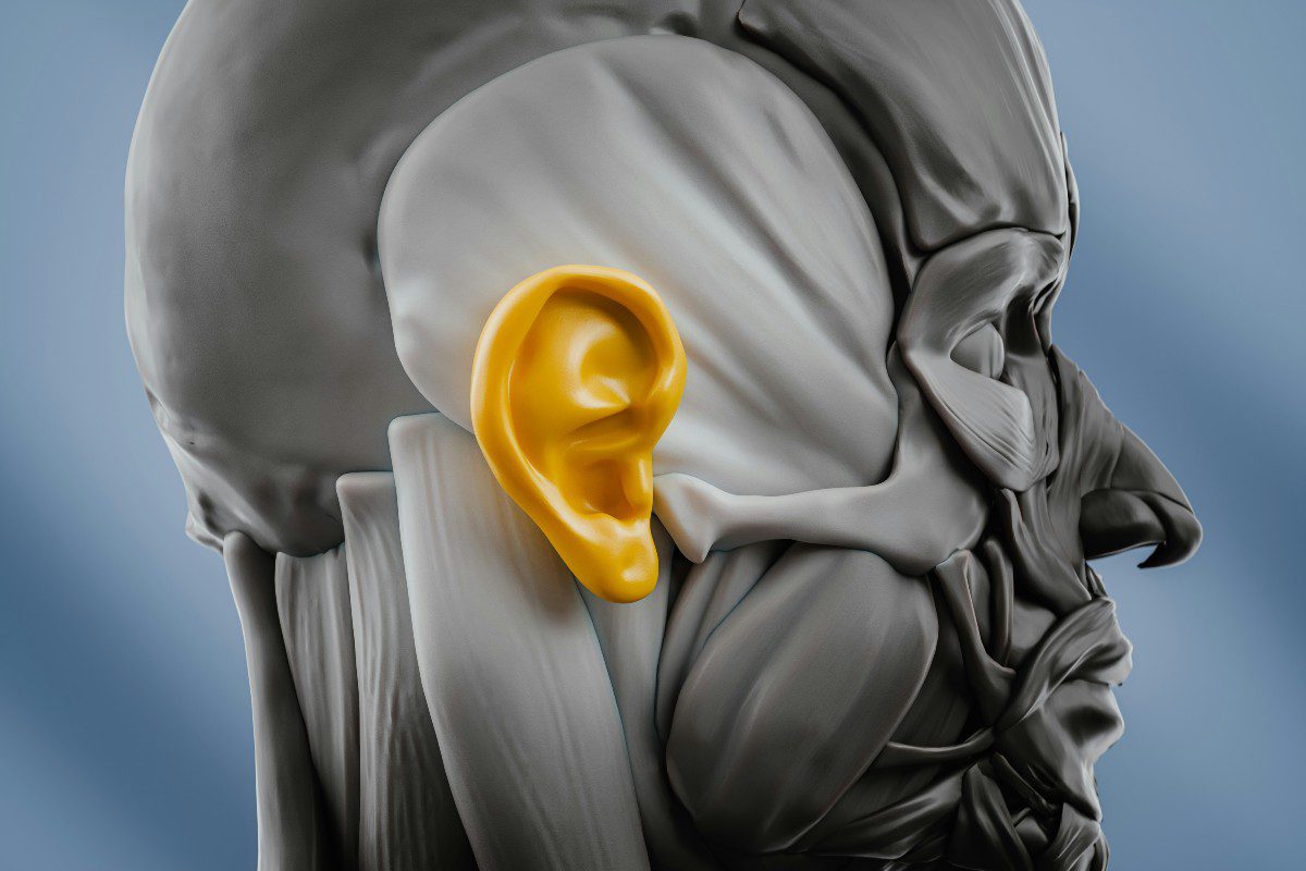 Το ανθρώπινο αυτί