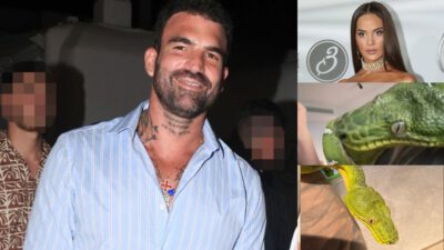 Δημήτρης Αλεξάνδρου, Ρία Ελληνίδου φίδι