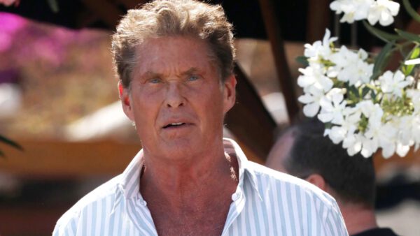 Ντέιβιντ Χάσελχοφ