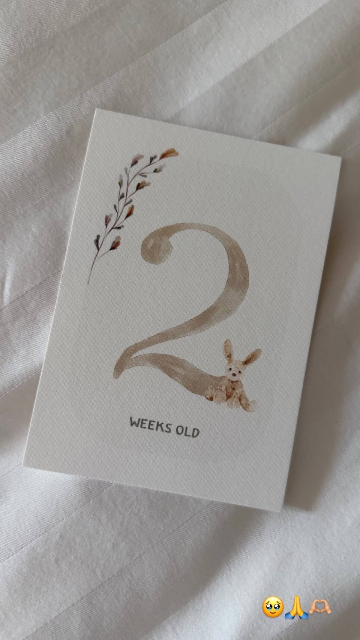 Η κόρη της Κατερίνας Καινούργιου έγινε δύο εβδομάδων