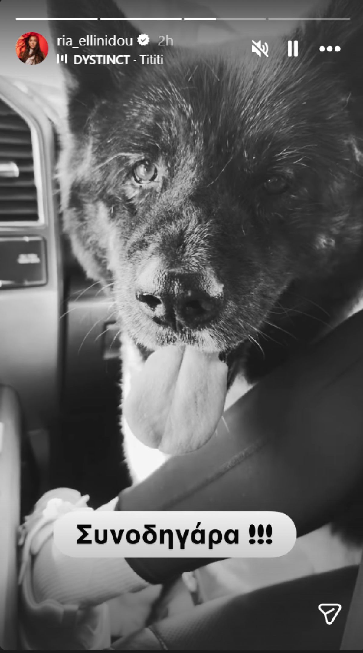 Το story που ανέβασε η Ρία Ελληνίδου