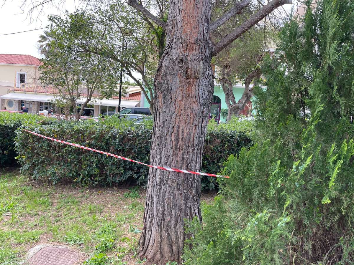 Το σημείο όπου βρέθηκε νεκρή η 19χρονη Μυρτώ