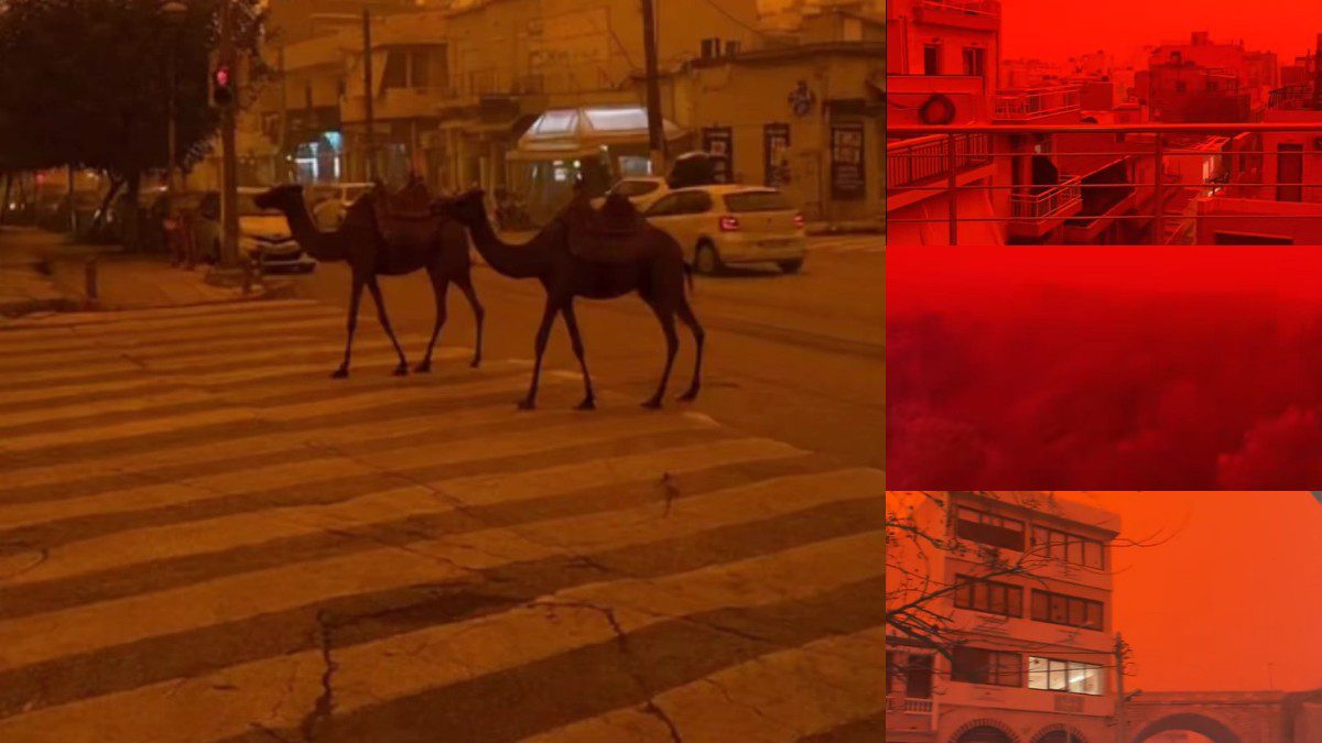 Αφρικανική σκόνη TikTok