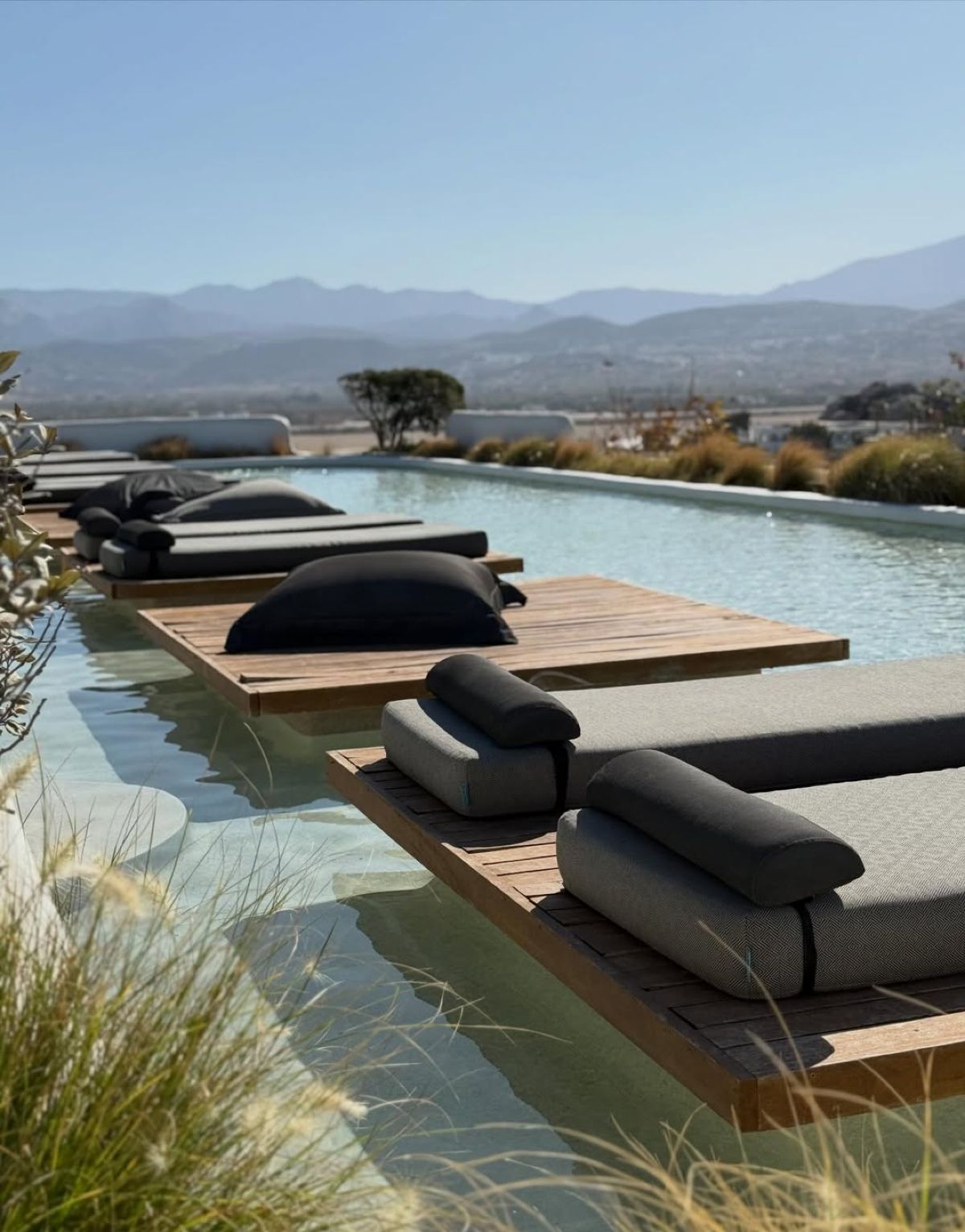 Αθηνά Οικονομάκου