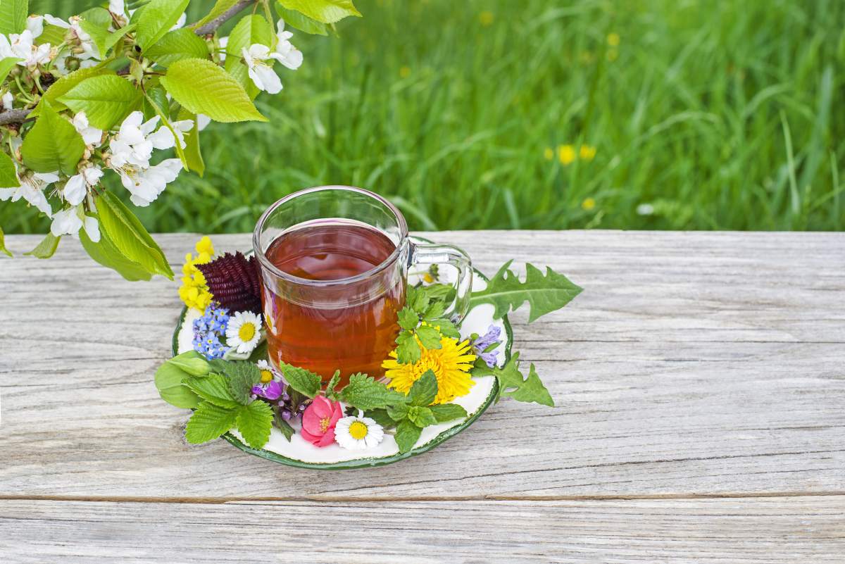 ρόφημα σε φλιτζάνι στη φύση