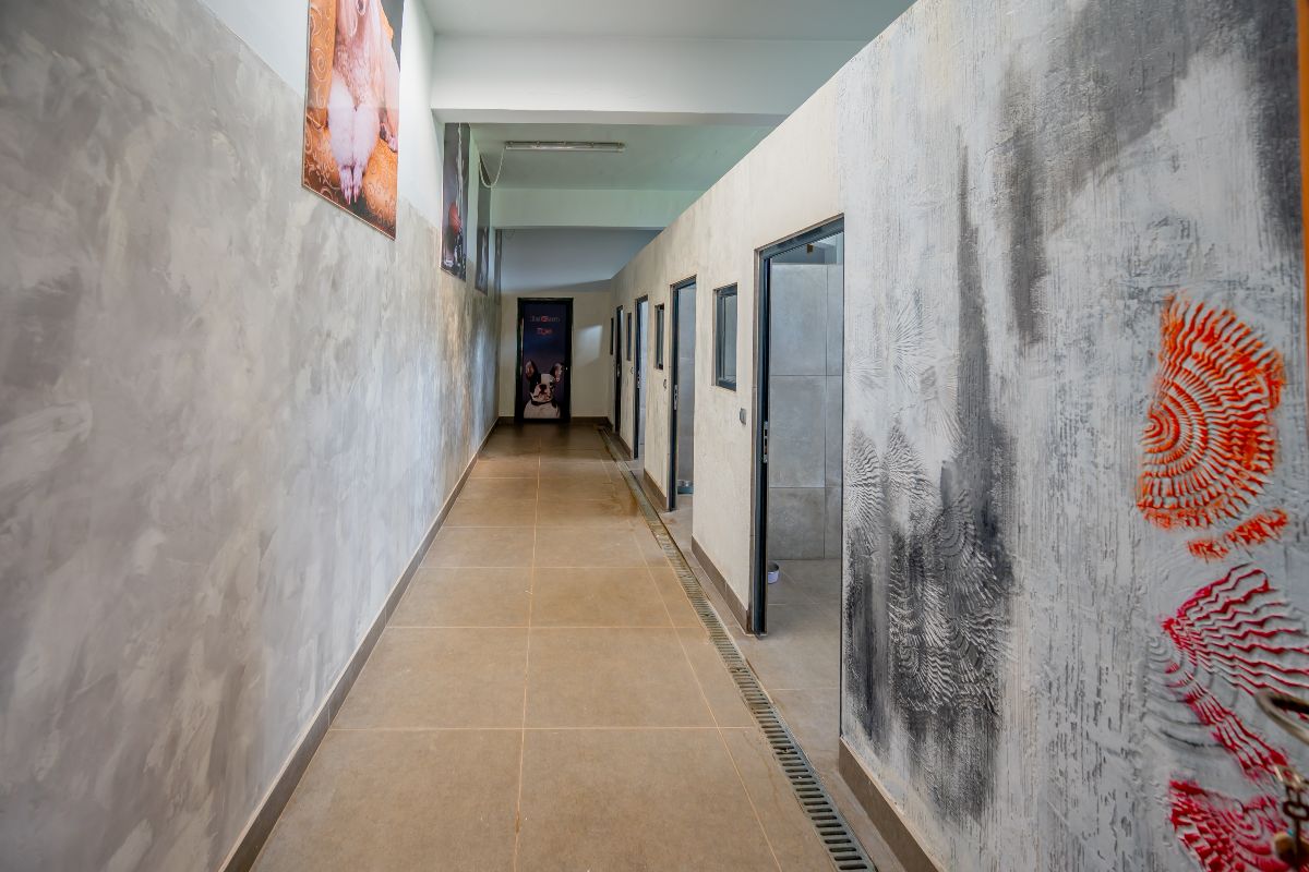 DogGlam Luxury Dog Hotel: Η νέα εποχή στη φιλοξενία σκύλων περνά πλέον σε άλλο επίπεδο!