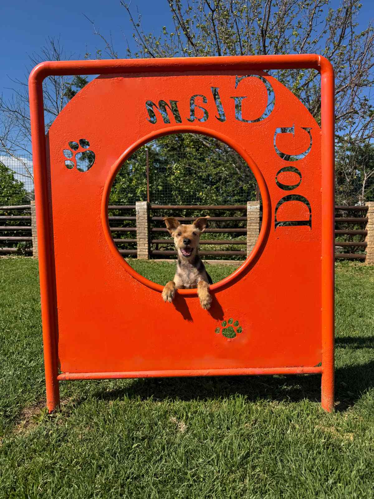 DogGlam Luxury Dog Hotel: Η νέα εποχή στη φιλοξενία σκύλων περνά πλέον σε άλλο επίπεδο!