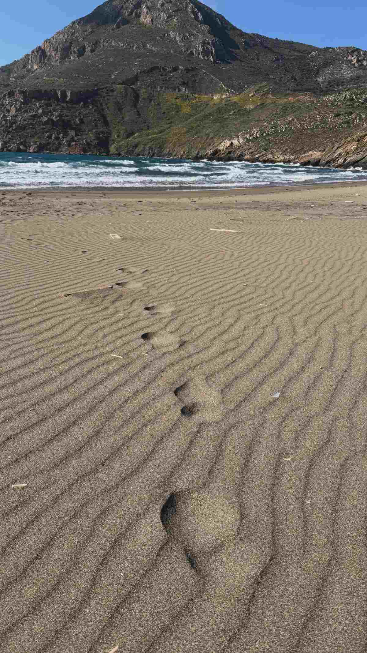 Γαρυφαλλιά Καληφώνη