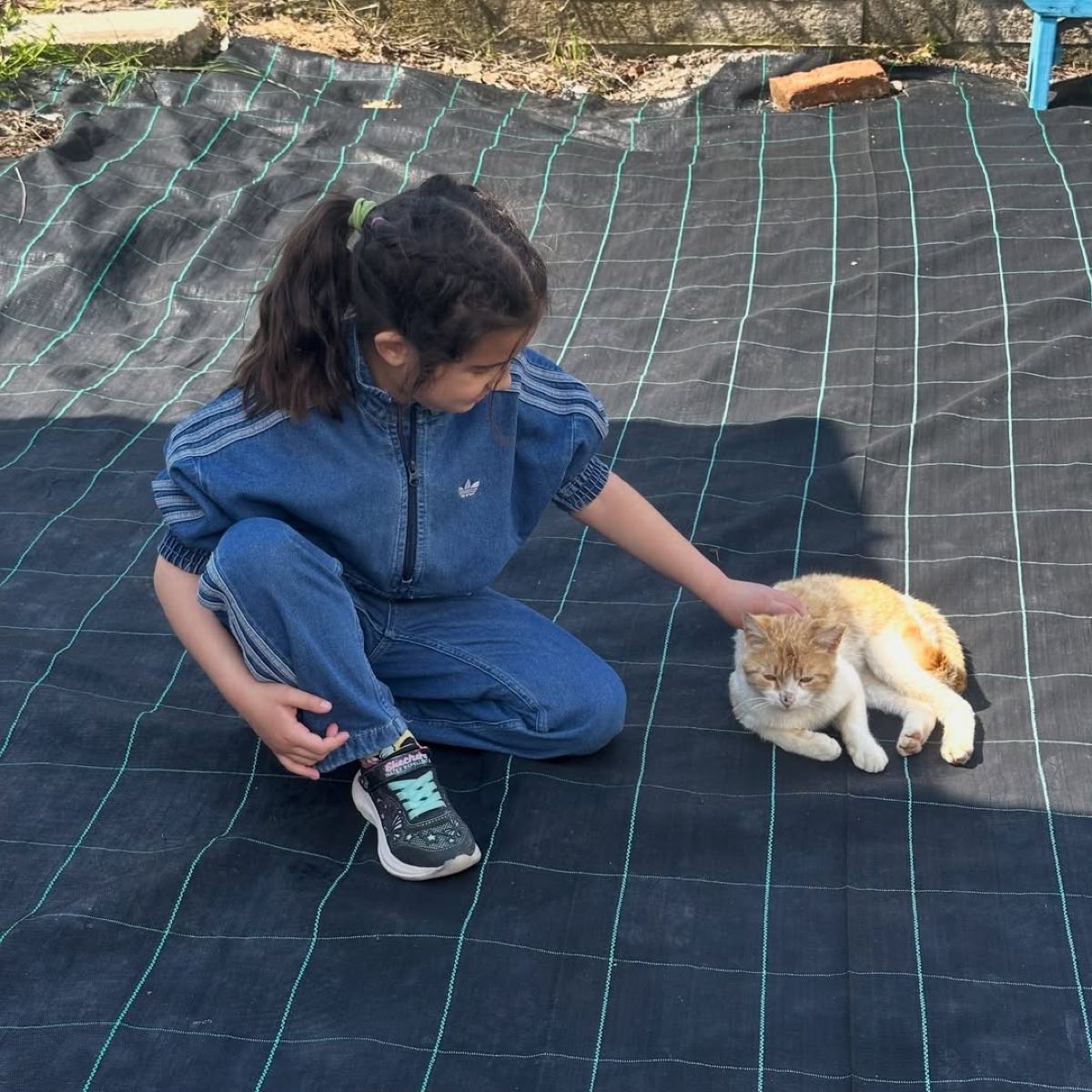 Ελένη Χατζίδου