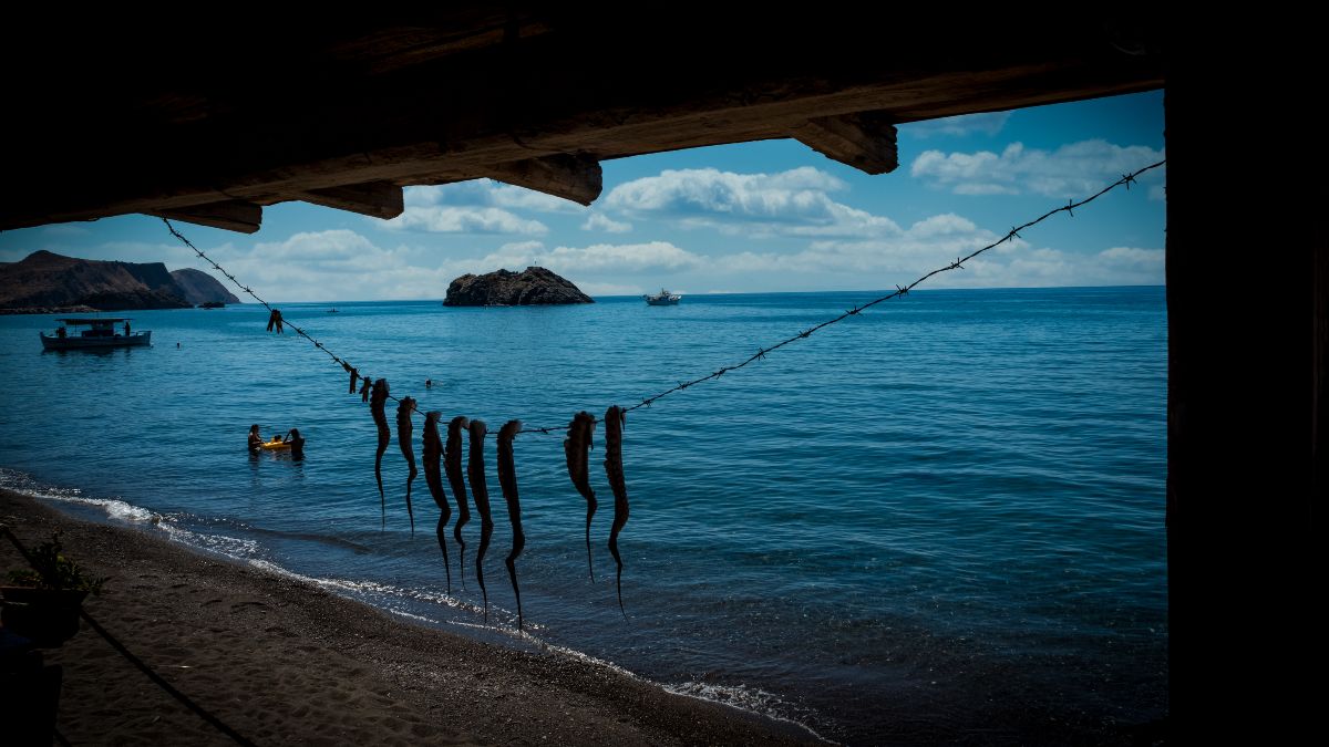 Λέσβος: Το νησί των αντιθέσεων που σε καλεί να το ανακαλύψεις