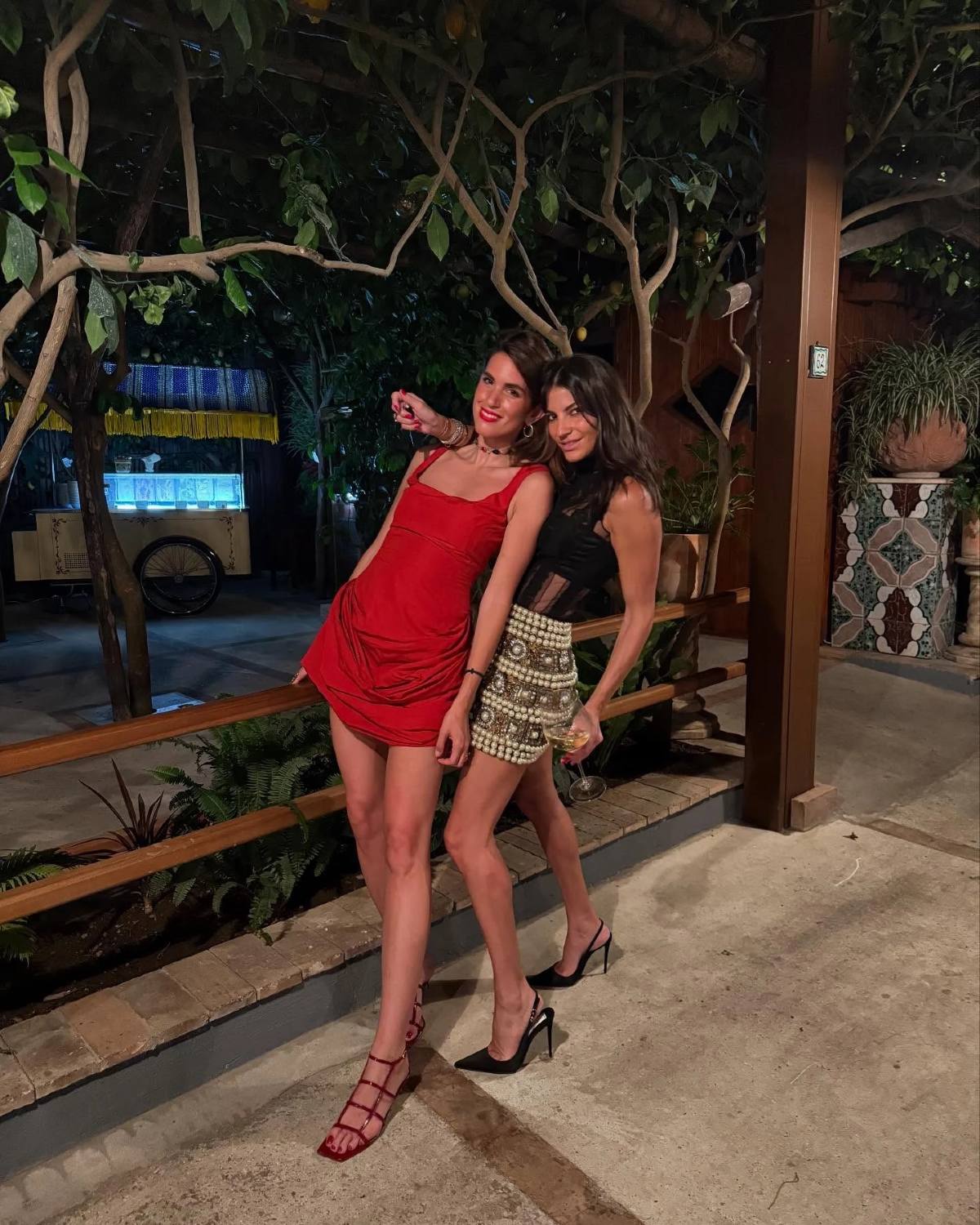 Δήμητρα Κούστα: Ποια είναι η νέα κολλητή της Βίσση - Το παρελθόν της, η έπαυλη και ο χλιδάτος γάμος (Φωτογραφίες)