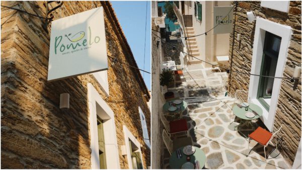 pomeloandros