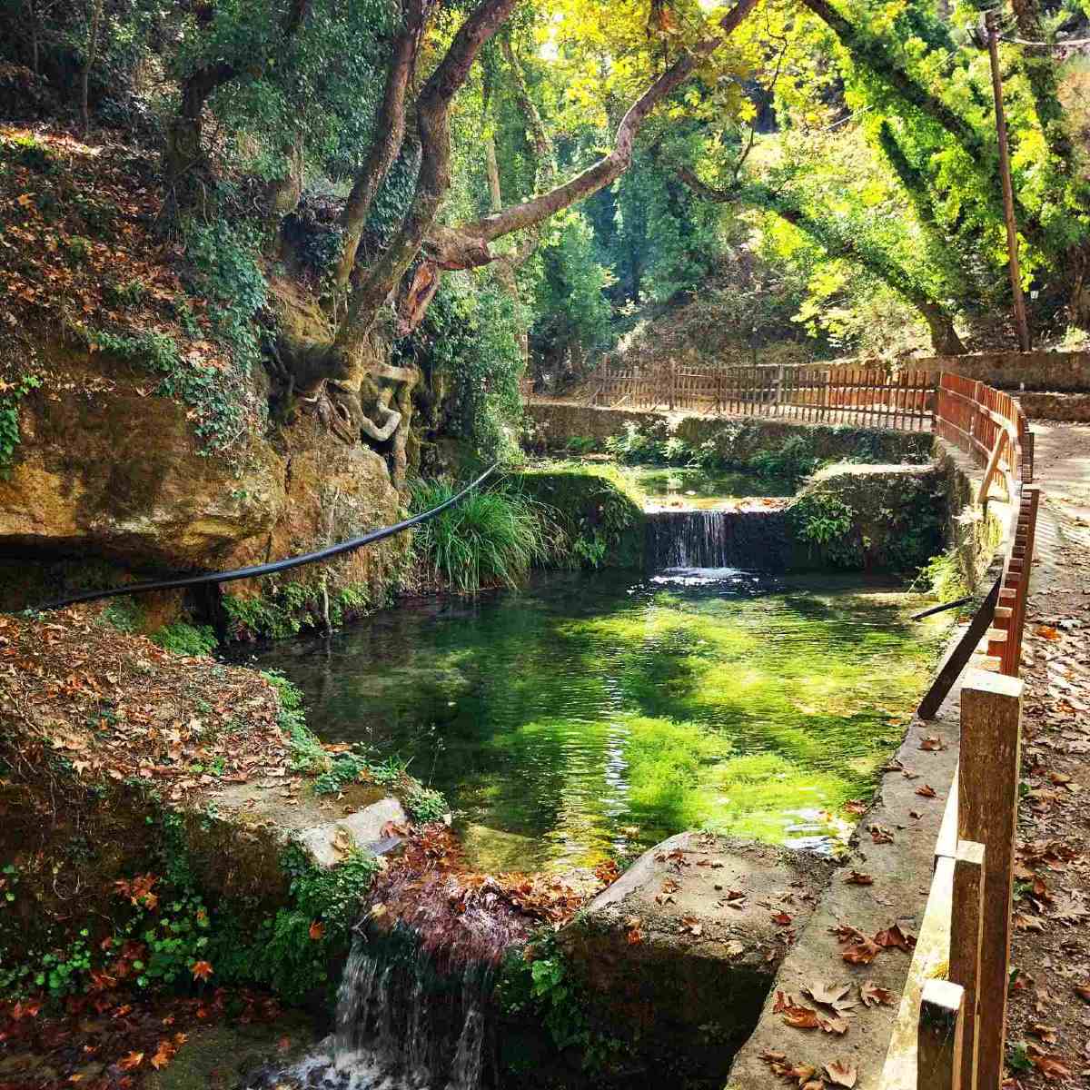 Γευστική απόδραση στο Aρχοντικό της Ζάχολης!