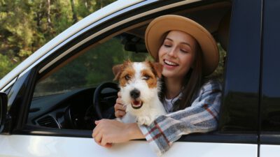 vacationpet