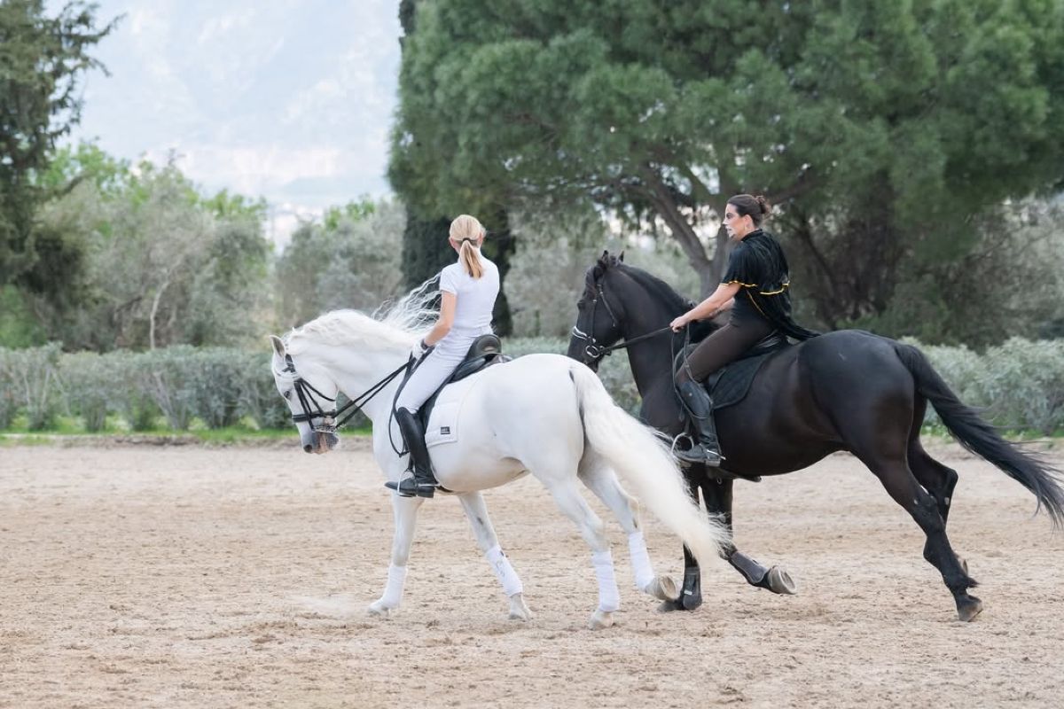 Ανθή Βούλγαρη