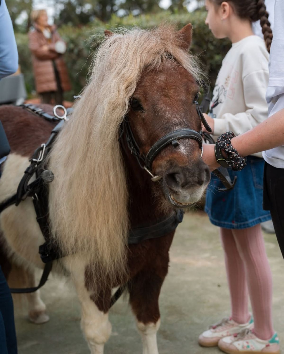 Ανθή Βούλγαρη