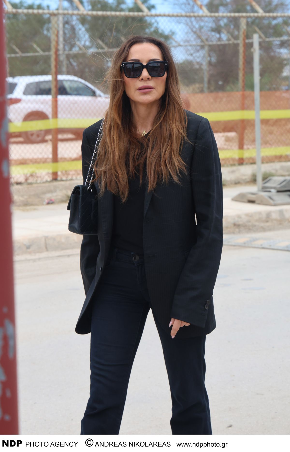 Δέσποινα Βανδή, Βασίλης Μπισμπίκης